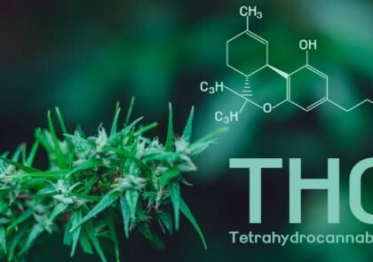 thc-a flower